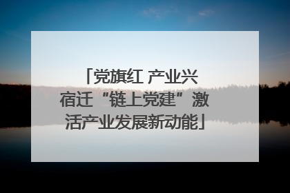 党旗红 产业兴 宿迁“链上党建”激活产业发展新动能