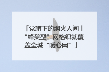 党旗下的烟火人间丨“蜂巢型”网格织就覆盖全城“暖心网”