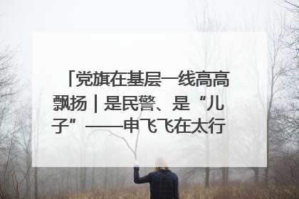 党旗在基层一线高高飘扬｜是民警、是“儿子”——申飞飞在太行山中的一线坚守