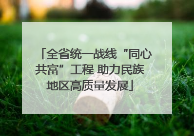 全省统一战线“同心共富”工程 助力民族地区高质量发展