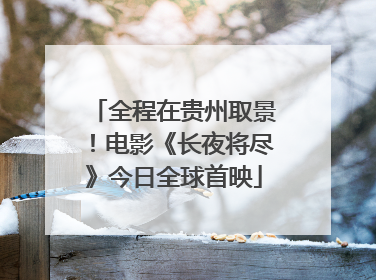 全程在贵州取景！电影《长夜将尽》今日全球首映