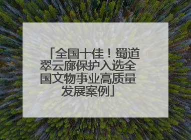 全国十佳！蜀道翠云廊保护入选全国文物事业高质量发展案例