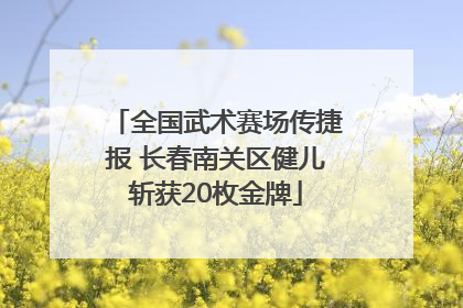 全国武术赛场传捷报 长春南关区健儿斩获20枚金牌