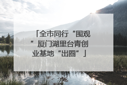 全市同行“围观”厦门湖里台青创业基地“出圈”