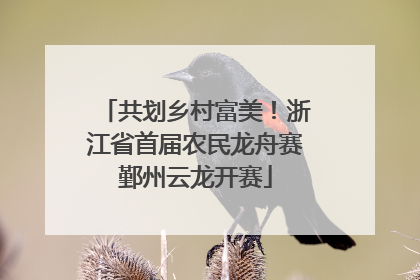 共划乡村富美！浙江省首届农民龙舟赛鄞州云龙开赛
