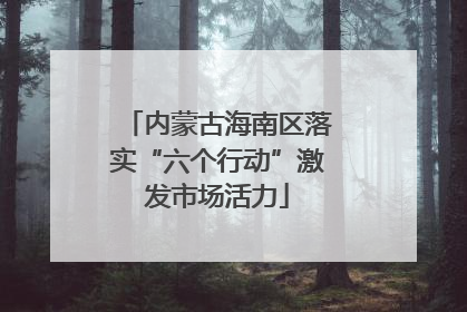 内蒙古海南区落实“六个行动”激发市场活力