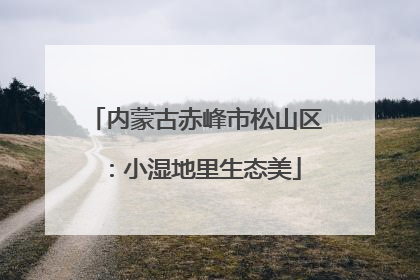 内蒙古赤峰市松山区：小湿地里生态美