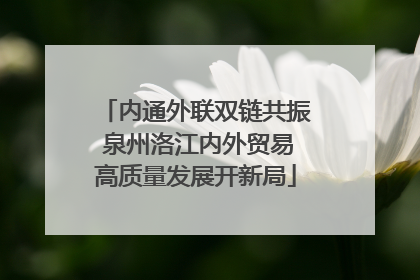 内通外联双链共振 泉州洛江内外贸易高质量发展开新局