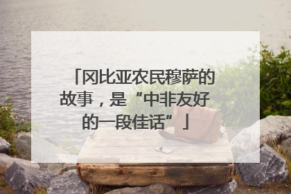 冈比亚农民穆萨的故事，是“中非友好的一段佳话”