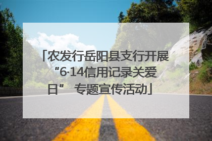 农发行岳阳县支行开展“6·14信用记录关爱日” 专题宣传活动