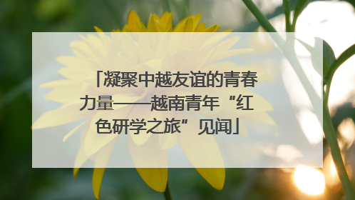 凝聚中越友谊的青春力量——越南青年“红色研学之旅”见闻