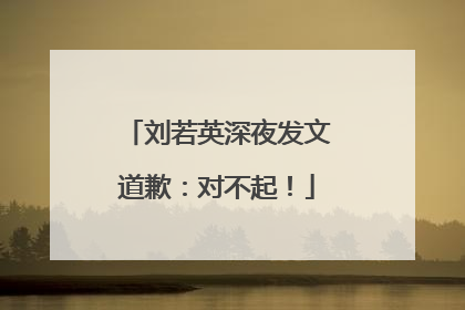 刘若英深夜发文道歉：对不起！