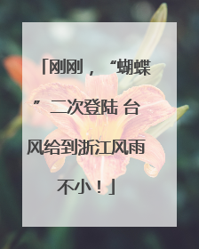 刚刚，“蝴蝶”二次登陆 台风给到浙江风雨不小！