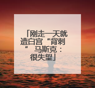 刚走一天就遭白宫“背刺” 马斯克：很失望