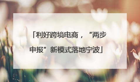 利好跨境电商，“两步申报”新模式落地宁波
