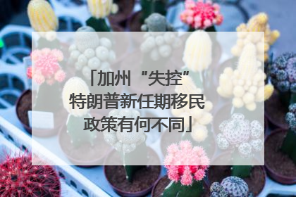 加州“失控” 特朗普新任期移民政策有何不同