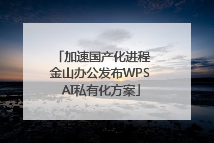 加速国产化进程 金山办公发布WPS AI私有化方案