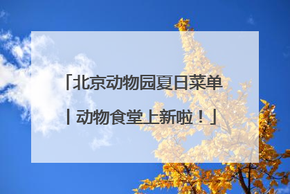 北京动物园夏日菜单丨动物食堂上新啦！