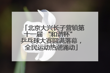 北京大兴长子营镇第十一届 “和谐杯” 乒乓球大赛圆满落幕，全民运动热潮涌动