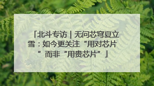 北斗专访｜无问芯穹夏立雪：如今更关注“用对芯片”而非“用贵芯片”