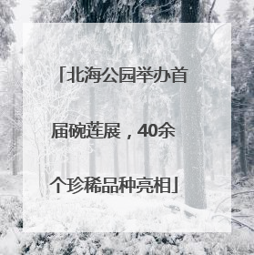 北海公园举办首届碗莲展，40余个珍稀品种亮相