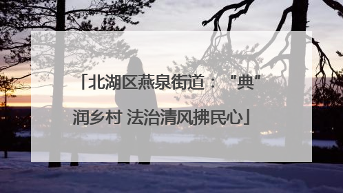 北湖区燕泉街道：“典”润乡村 法治清风拂民心