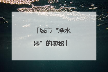 城市“净水器”的奥秘