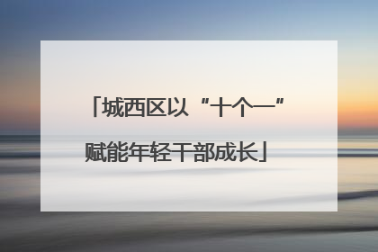 城西区以“十个一”赋能年轻干部成长