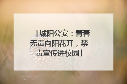 城阳公安：青春无毒向阳花开，禁毒宣传进校园