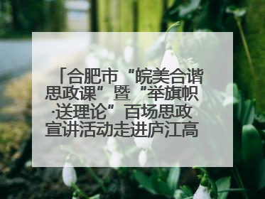 合肥市“皖美合谐思政课”暨“举旗帜·送理论”百场思政宣讲活动走进庐江高新实验学校