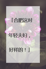 合肥这对年轻夫妇，好样的！