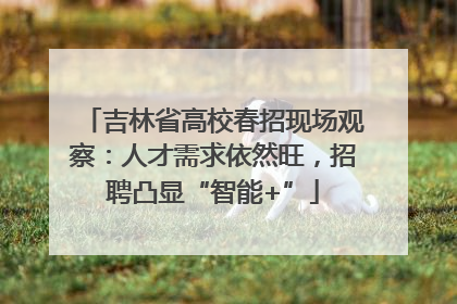 吉林省高校春招现场观察：人才需求依然旺，招聘凸显“智能+”