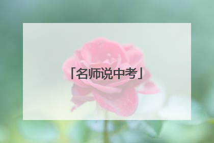 名师说中考
