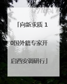 向新求质 10国外籍专家开启西安调研行