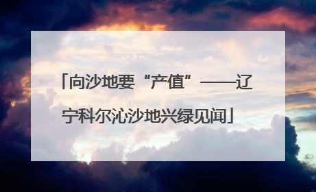 向沙地要“产值”——辽宁科尔沁沙地兴绿见闻