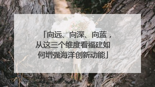 向远、向深、向蓝，从这三个维度看福建如何增强海洋创新动能