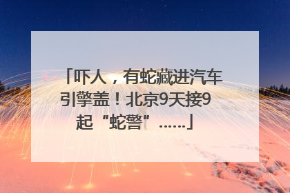 吓人，有蛇藏进汽车引擎盖！北京9天接9起“蛇警”……