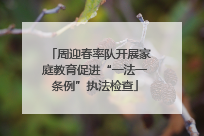 周迎春率队开展家庭教育促进“一法一条例”执法检查