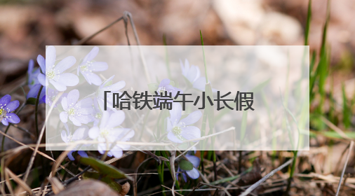 哈铁端午小长假增开临客列车62对 预计运送旅客160万人次