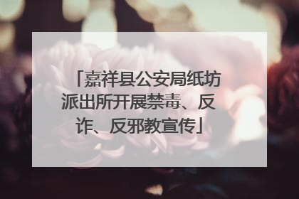 嘉祥县公安局纸坊派出所开展禁毒、反诈、反邪教宣传