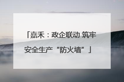 嘉禾：政企联动 筑牢安全生产“防火墙”