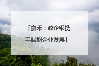 嘉禾：政企银携手赋能企业发展