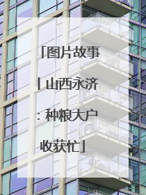 图片故事丨山西永济：种粮大户收获忙