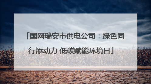 国网瑞安市供电公司：绿色同行添动力 低碳赋能环境日