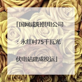 国网咸阳供电公司：永红村75千瓦光伏电站建成投运