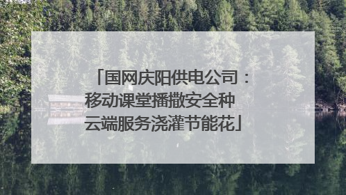 国网庆阳供电公司：移动课堂播撒安全种 云端服务浇灌节能花