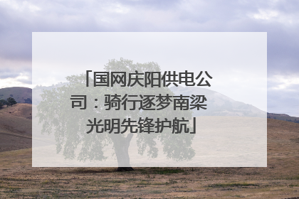 国网庆阳供电公司：骑行逐梦南梁 光明先锋护航