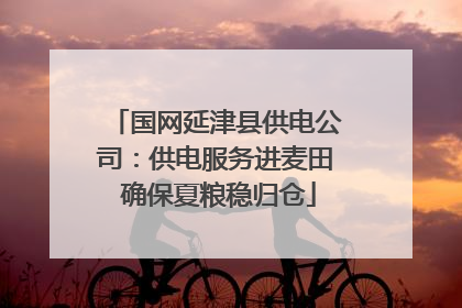 国网延津县供电公司：供电服务进麦田 确保夏粮稳归仓