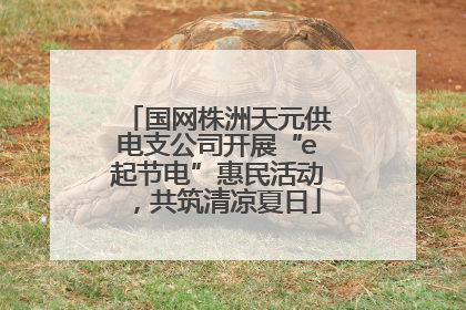 国网株洲天元供电支公司开展“e起节电”惠民活动，共筑清凉夏日