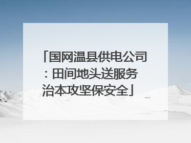 国网温县供电公司：田间地头送服务 治本攻坚保安全
